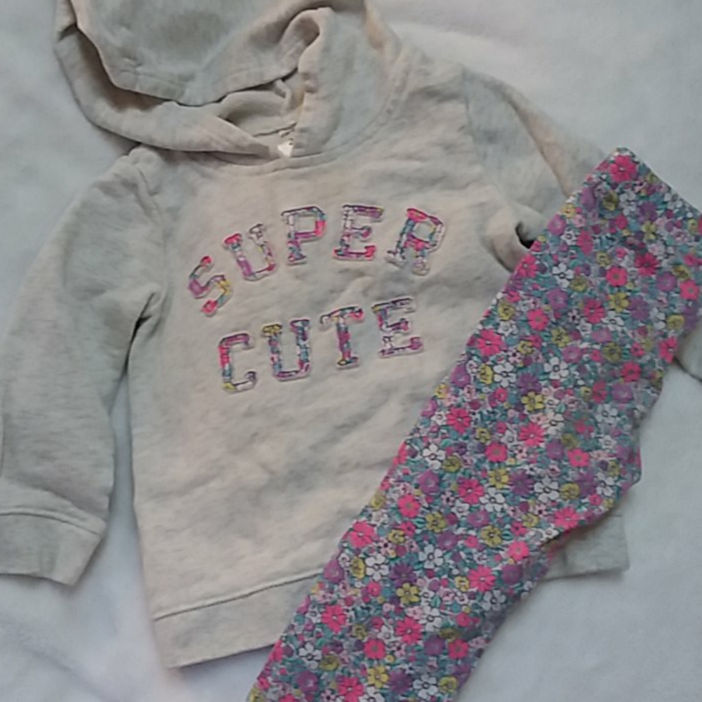 2T Super Cute Sweatshirt and leggings set